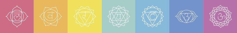 Reflex Yoga 2 day workshop